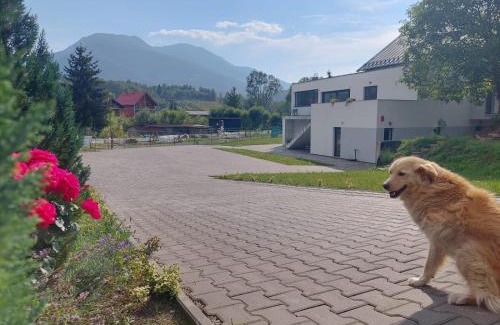 Borsa House | Pensiunea Cascada