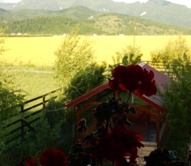 Zarnesti House | Pensiunea Cetatea Craiului