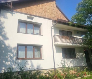 Vicovu de Jos House | Pensiunea Dealul Leahului