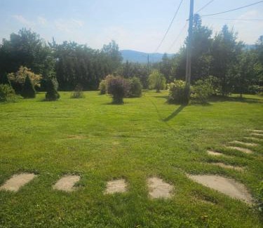 Vicovu de Jos House | Pensiunea Dealul Leahului
