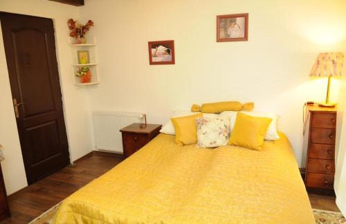 Riu de Mori House | Pensiunea Dumbrăvița