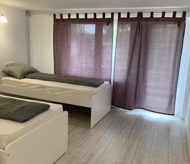 Ciucea House | Pensiunea Eurosan Codrii Vlasinului