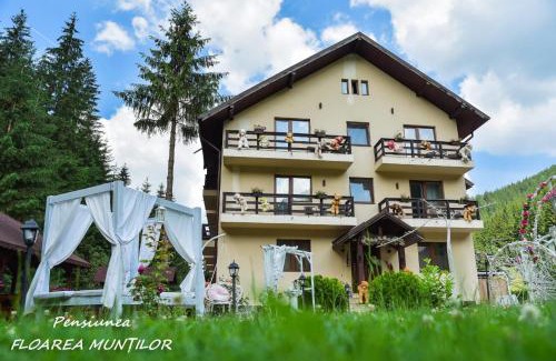 Moeciu de Sus House | Pensiunea Floarea Munților