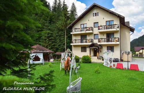 Moeciu de Sus House | Pensiunea Floarea Munților