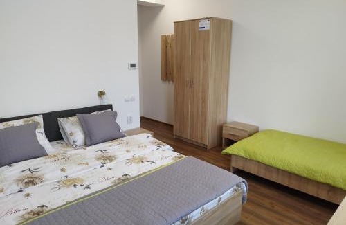 Viile Satu Mare House | Pensiunea Florilor Satu Mare