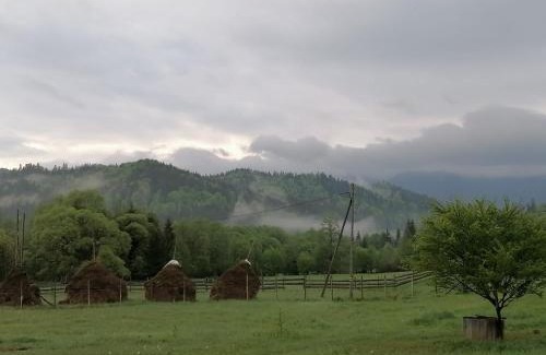Bistrita Bargaului House | Pensiunea Freya