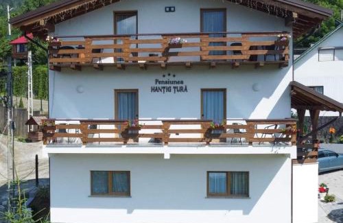Borsa House | PENSIUNEA HANTIG TURA