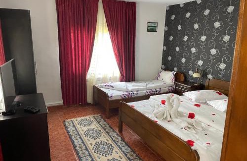 Sfantu Gheorghe House | Pensiunea Jenica