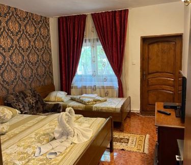 Sfantu Gheorghe House | Pensiunea Jenica