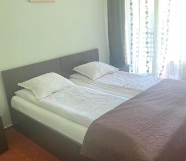 Certeze Hotel | Pensiunea ' LA PAPA'