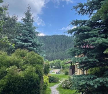 Campulung Moldovenesc House | Pensiunea Liliana