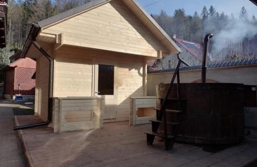 Putna Villa | Pensiunea Putnisoara