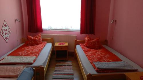 Sincraiu Apartment | Pensiunea Shalom