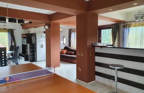 Sinaia House | Pensiunea TV Condor