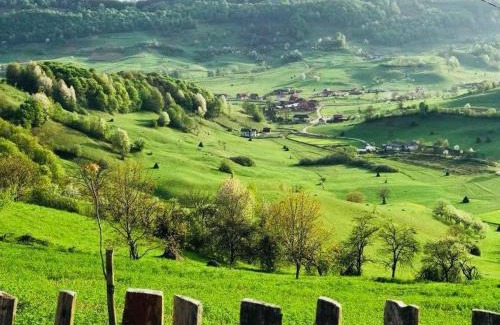 Rosia House | Pensiunea Valea Toplitei