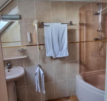 Timisoara Bed & Breakfast | Pensiunea Zodiac