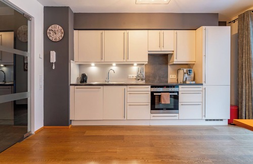 Viehhofen Apartment | Penthouse with terrace in prime location