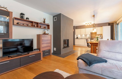 Viehhofen Apartment | Penthouse with terrace in prime location
