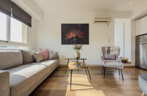 Gothic Quarter Apartment | Penthouse City Center With 2 Terraces And Views