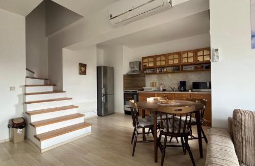 Shiligarnika Apartment | Penthouse Harriet Bansko