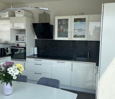 Mitte Apartment | Penthouse living Berlin Mitte