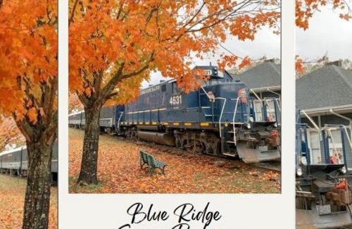 Blue Ridge Apartment | Penthouse Suite Right in the Heart of Downtown - Trackside
