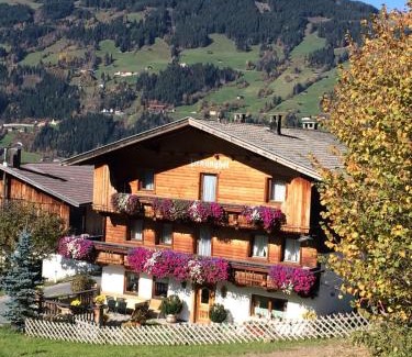 Gerlosbergeben Apartment | Penzinghof