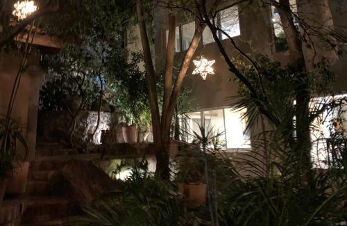 San Miguel de Allende Apartment | Perfect get away walking distance to centro