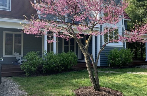 Union Pier House | Perfect Home, Private Hot Tub, Great Community Pool and Walk to Lake Michigan!