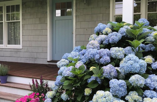 Village of Southampton House | Perfection in the Heart of Southampton Village; Walk to Town, Bike to Beaches