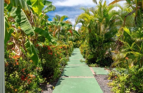 Dampierre House | Perle des Caraibes n°14