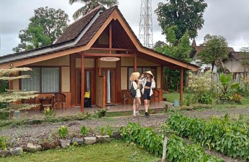 Banyuwangi House | Pesona Java Ijen Homestay
