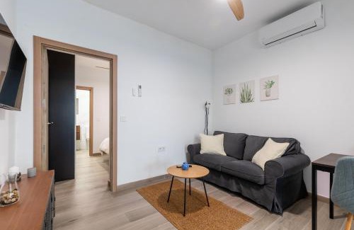 Los Carteros Apartment | Pesquera Suites
