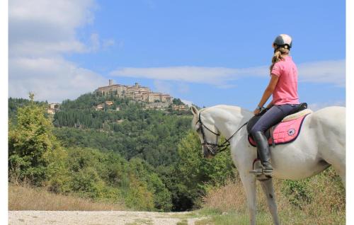 Monte Santa Maria Tiberina Apartment | Pet Friendly Apartment