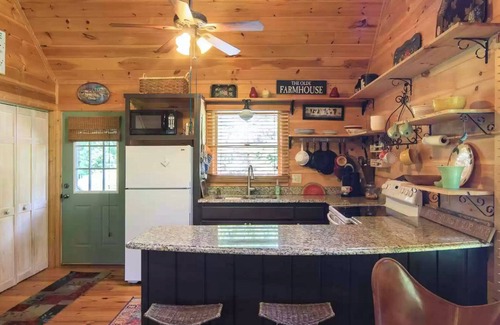 Mineral Bluff Cabin | Pet-friendly 2-bd cabin w/hot tub and fenced-in yard close to town