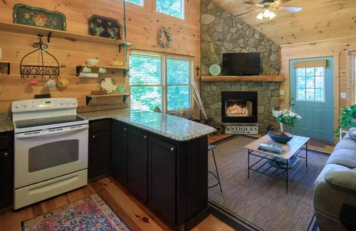 Mineral Bluff Cabin | Pet-friendly 2-bd cabin w/hot tub and fenced-in yard close to town