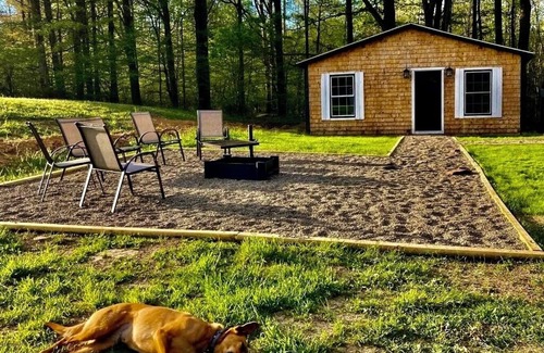 Marienville Cabin | Pet-Friendly Cabin Near Cook Forest+Allegheny national forest: Knotty Pine Lodge