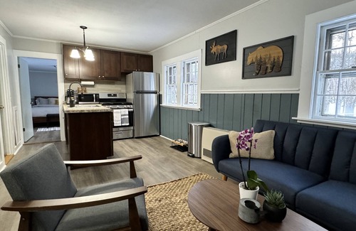 Bartlett Cottage | Pet-friendly rustic ski cottage! nNH Wooded Oasis, one mile to large Ski Resort!