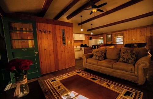 Dubois Cabin | Pet-Friendly Studio Cabin with River Access, Mountain Views & Hot Tub!
