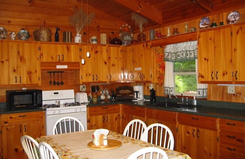 Suches Cabin | Pet Friendly Toccoa Riverfront Cabin with 1200' of Riverfront at your back door