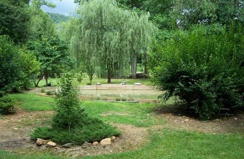 Suches Cabin | Pet Friendly Toccoa Riverfront Cabin with 1200' of Riverfront at your back door