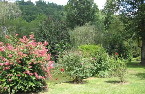 Suches Cabin | Pet Friendly Toccoa Riverfront Cabin with 1200' of Riverfront at your back door