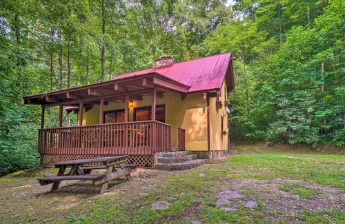 Topton House | Pet-Friendly Topton Home w/ Furnished Deck!