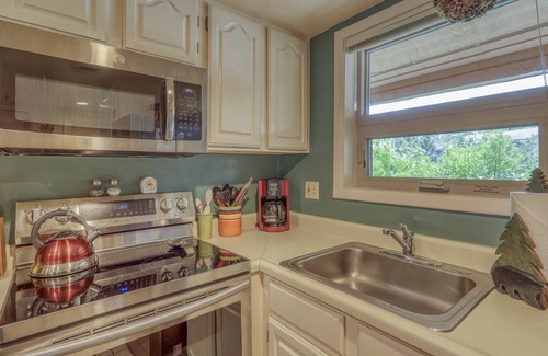 Pagosa Springs Condo | Pet-Friendly Treehouse Condo: Cozy, Great Location, Patio, Mountain Views, Near Dining & Hot Springs