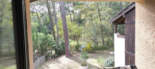 Maubuisson Apartment | Petit Appartement dans les Arbres