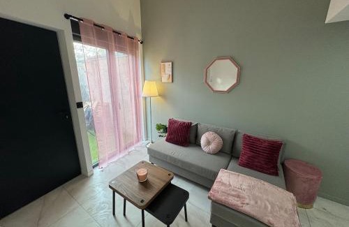 Moulin a Vent House | Petit Boudoir Lyonnais neuf terrasse climatisé