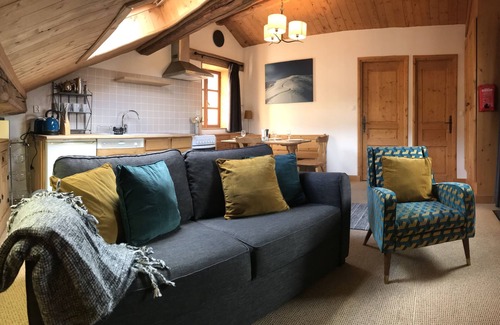 Meribel Ski Chalet | Petit Hibou, Gorgeous 1 bedroom apartment in Meribel