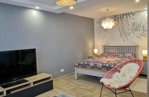 Montessuy Apartment | Petit Paradis Cosy T1 Bis 40m2 Indépendent Studio en Maison avec Jardin & Parking Gratuit