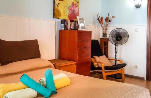 Arenas del Mar House | Petunia 75