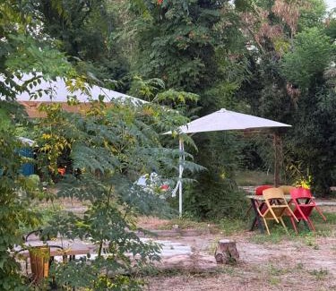 Tekirova Other | Phaselis Park Camping